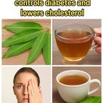 Say Goodbye to Pills! A Simple Mix of Chayote and Lemon Could Help Relieve Knee Pain, Swelling, High Blood Pressure & More