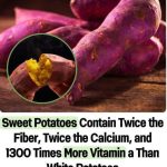 Cleaning with Household Items: A Complete Guide to Natural and Effective Cleaning