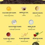 What Does It Mean If Your Honey Crystallizes?