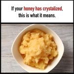 Why Your Orchid Isn’t Blooming—and What You Can Do About It