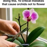 Don’t Toss Banana Peels! 12 Genius Ways to Use Them in Your Garden