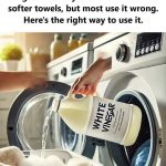 12 Vegetable Garden Ideas to Maximize Yields and Enhance Your Growing Space