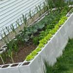 Mix White Salt with Fabric Softener: Solves Many Problems at Home and Saves a Lot of Money