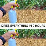 How did I not know this before?!