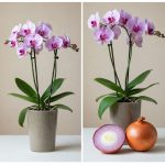 How did I not know this before?!