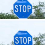  A Few Drops and Not a Single Fly in the House Anymore: After Two Months of Struggle, They Disappeared in 1 Minute!