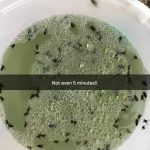 A Natural Alternative to Botox for Wrinkle Reduction