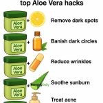 Got A Rosemary Bush? Here’re 20 Brilliant & Unusual Ways To Use All That Rosemary