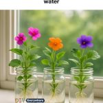 20 Times You Should NEVER Eat Bananas