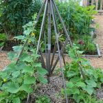 Instant Testosterone Boost: 7 Powerful Foods That Work Like Magic