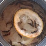 10 Creative DIY Cinder Block Garden Projects