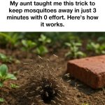 Amazing Raised Garden Bed Ideas For Every Space And Budget