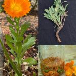 14 Genius Gardening Hacks To Make Your Life Easier