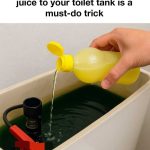 Cloves, ginger, and a Lipton tea bag combined are worth gold