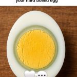 Mosquito Repellent Plants: The 10 Best Plants to Keep Your Garden Mosquito-Free Naturally