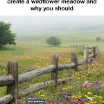 STOP Storing Rice Like This – You Might Be Poisoning Your Family Without Knowing It