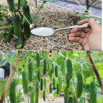 10 DIY Bug Hotel Ideas For Your Garden