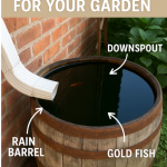 10 Repurposed Garden Path Ideas