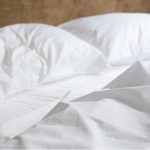 Growing Delicious Blueberries in Containers