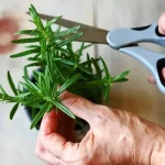 10 Creative DIY Cinder Block Garden Projects