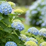 Here’s Why Some People Get Bit More by Mosquitos Than Others