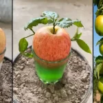 Say Goodbye to Garden Pests Instantly with This Powerful DIY Natural Spray