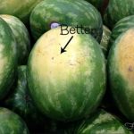 How to Change the Color of Your Hydrangeas Naturally – It’s Easier Than You Think!