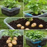 How to Use Bay Leaves to Naturally Repel Household Pests