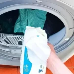 How to Grow Pointed Head Cabbage from Seed in Containers | Step-by-Step Guide