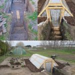 The ultimate rat & mouse repellent: Drive them out of your house fast