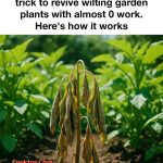 How to build a Walipini Greenhouse to grow food year-round