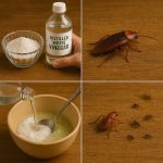 Stop buying celery at store. Grow a never-ending supply at home in a pot with this guide