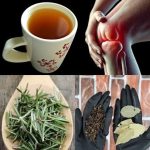 Natural Pest Control with Baking Soda & Vinegar