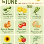 Feel-Good Knees! A Soothing Herbal Tea to Ease Joint Discomfort Naturally