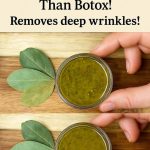 just One Tablespoon and the Aphids Are Gone Forever! (Natural Repellent Secret)