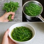 Is It Better to Leave the Bathroom Door Open or Closed After Taking a Shower or Bath?