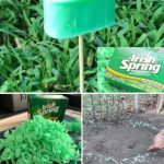 What Happens to Your Body When You Eat a Banana with Brown Spots?