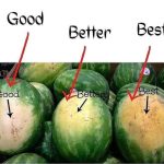 Why You Should Put a Peppermint Plant in Your Entryway