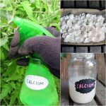 Maximize Kitchen Storage with the Space Above Your Cabinets