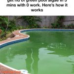 If you want your orchid to bloom continuously, you need to do this every morning.