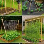 Are Ladybugs Good or Bad for Plants?