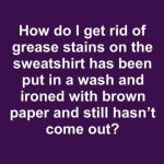 How To Propagate Hydrangeas – Step-By-Step For Beginners