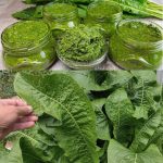 Mix Vaseline with Lemon! If only I had known this earlier