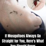 My Neighbor Drove over My Lawn Every Day as a Shortcut to Her Yard