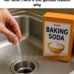 Using Rice as Fertilizer for Orchids: An Eco-Friendly Guide