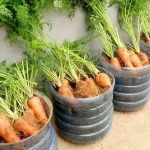 Hard water stains are the worst..