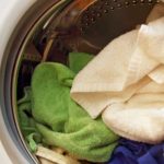 If You Ever Spot This Insect, Get Rid of It Immediately!