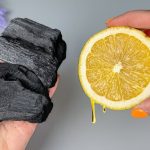 How to grow lemon tree from seed to stunning in record time
