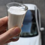 The ultimate rat & mouse repellent: Drive them out of your house fast