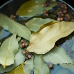 5 Key Tips to Have Rosemary That Is Always Thick, Leafy, and Aromatic